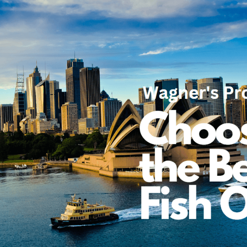 Wagner's Fish Oil: Choosing the Best Omega-3 Supplement....