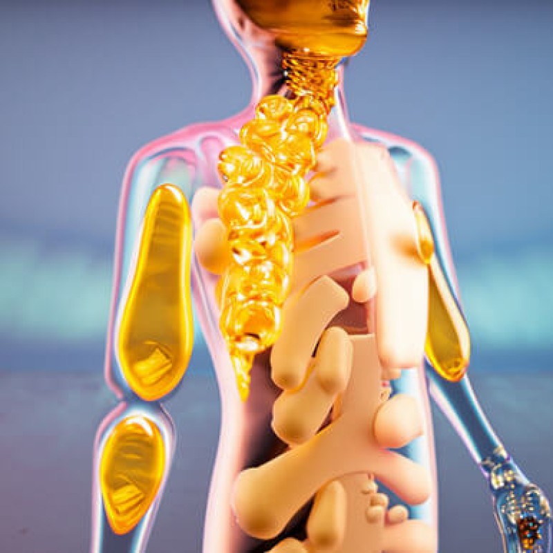 Is Fish Oil Good for Joints